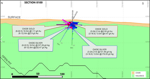 Cross Section 8100 (Looking East) Highlighted Intercepts in Holes DDH 20-018 DDH 20-020